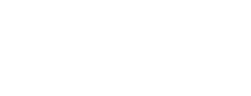 White Denver Public Schools Logo