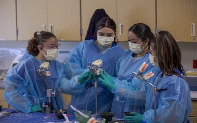 Four Dental Assisting students using practice teeth molds in Denver, CO